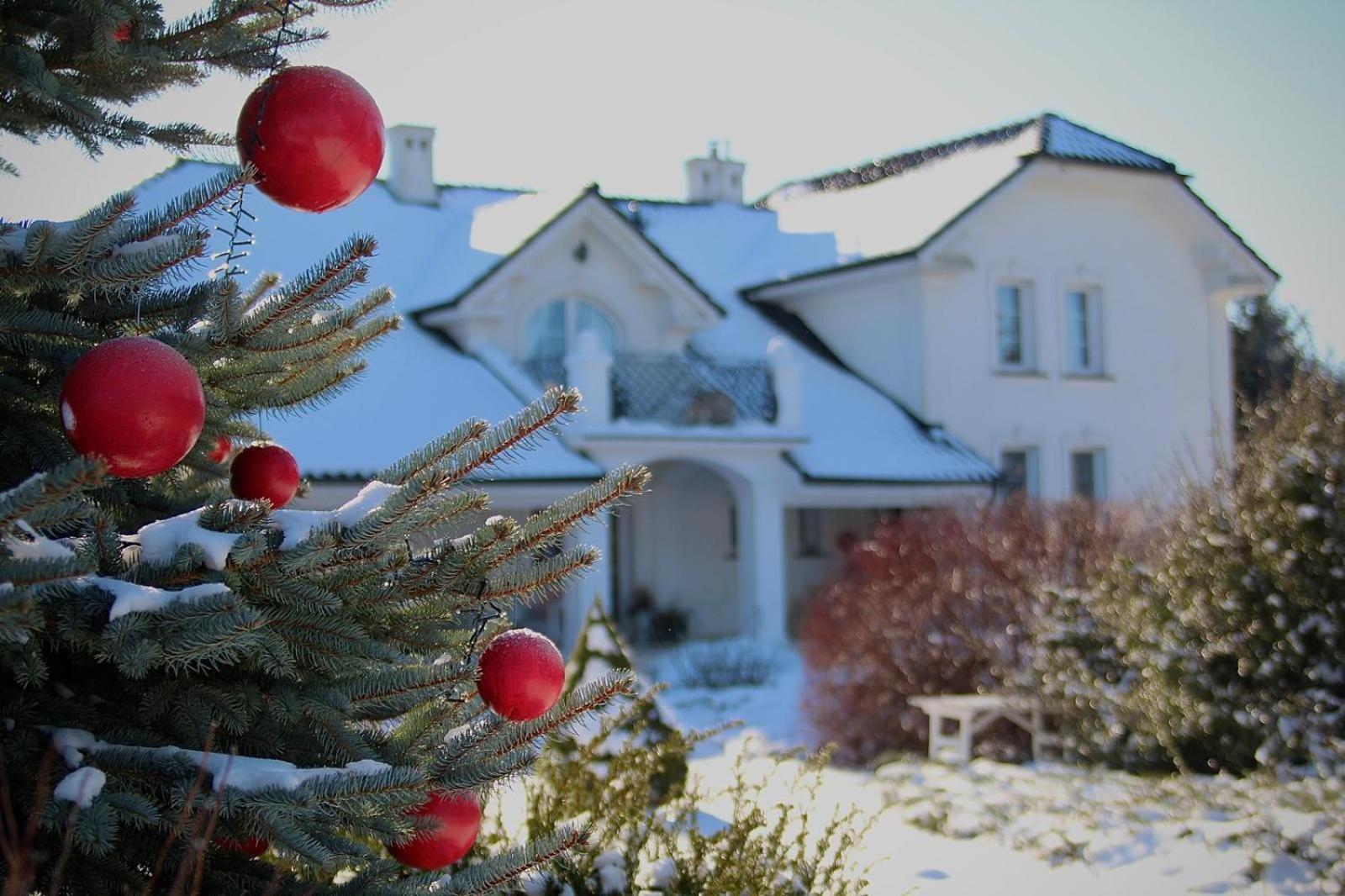 Zielone Zacisze Bed and Breakfast Murzynowo Kościelne Eksteriør billede