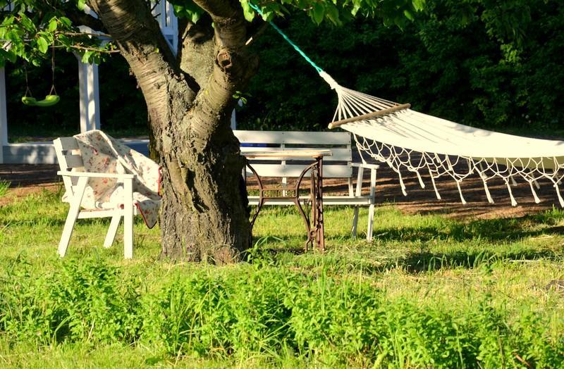 Zielone Zacisze Bed and Breakfast Murzynowo Kościelne Eksteriør billede