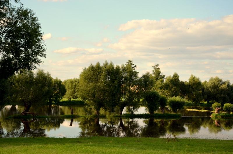 Zielone Zacisze Bed and Breakfast Murzynowo Kościelne Eksteriør billede